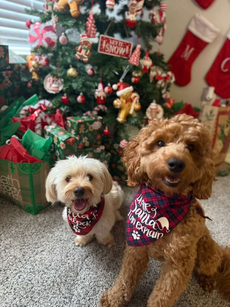 Cooper and Max