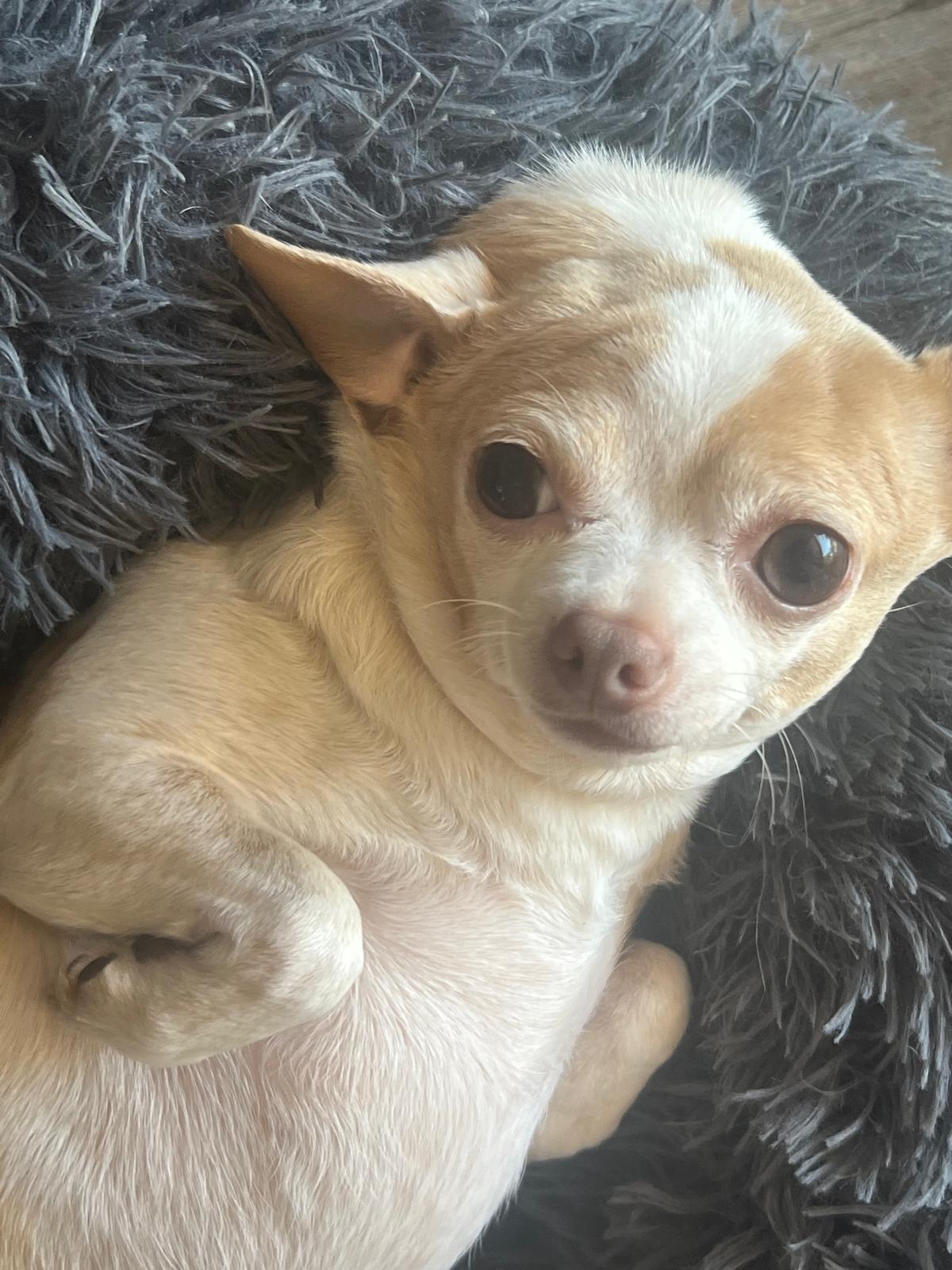 Chloe