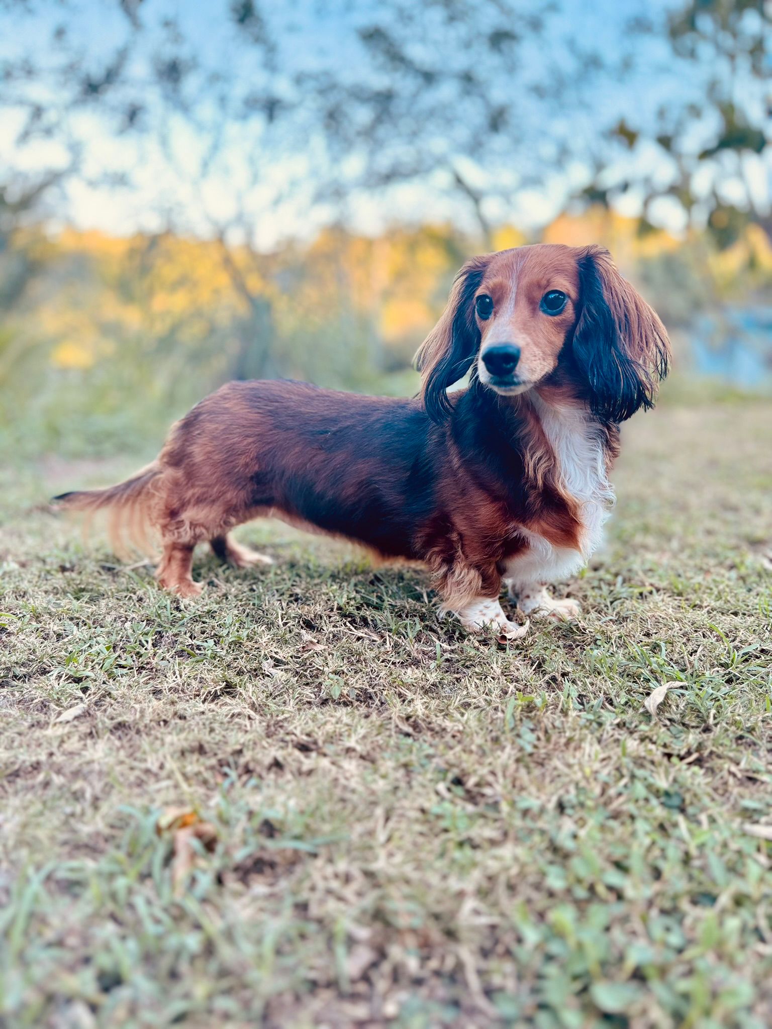 Coco