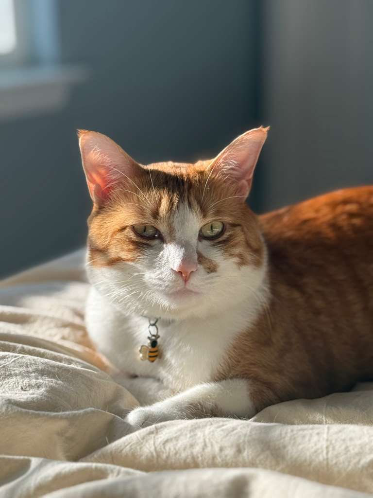 Daniel