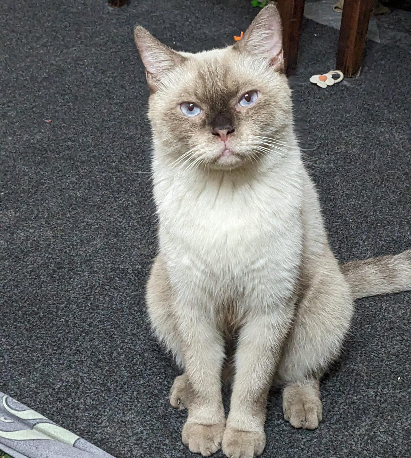 Milo