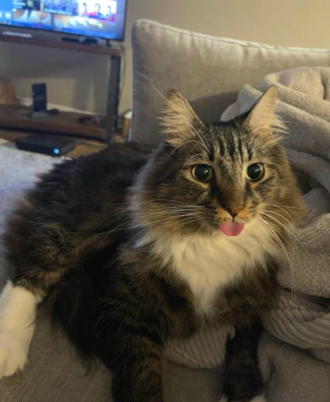 PJ