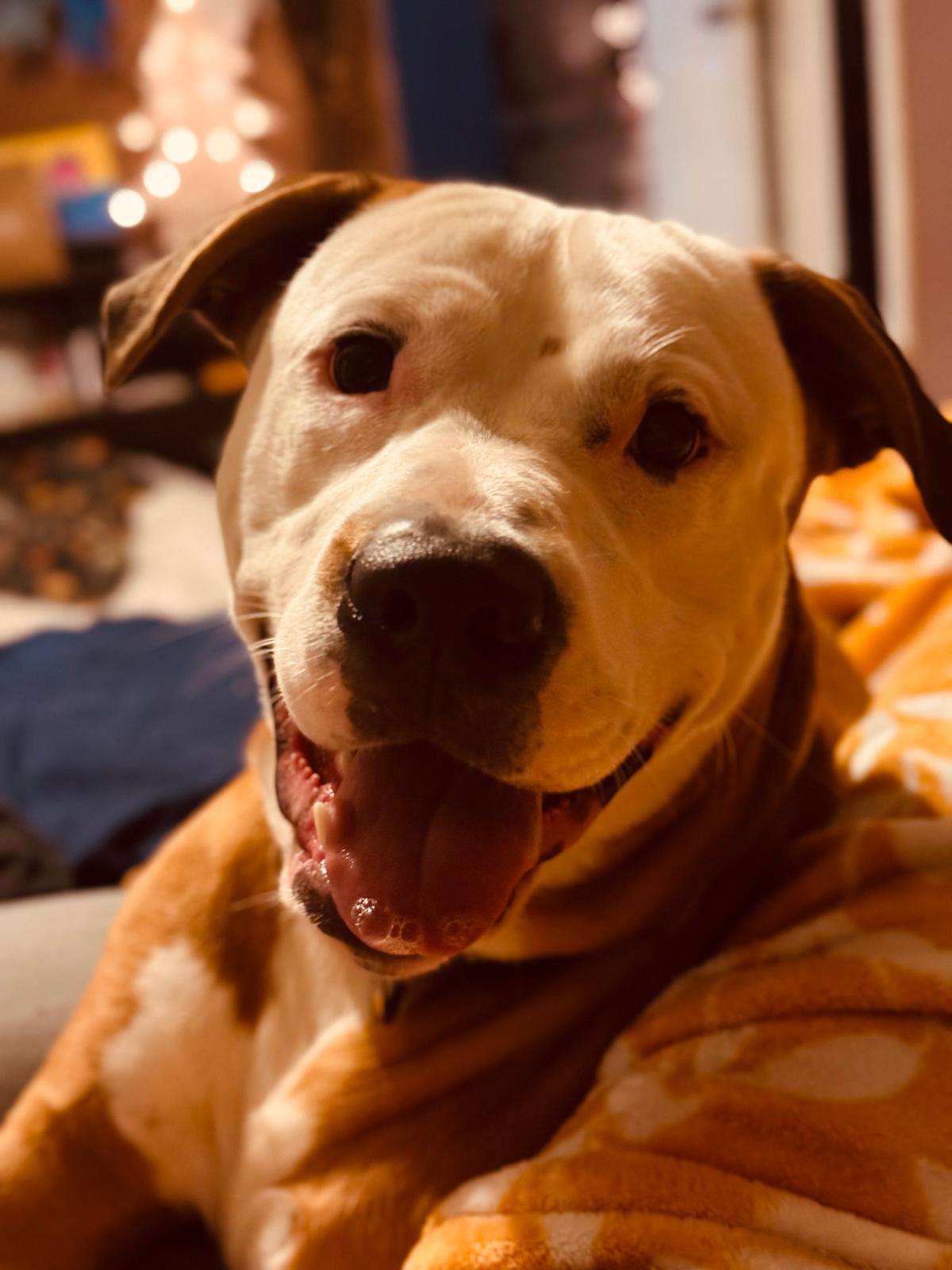 Roco