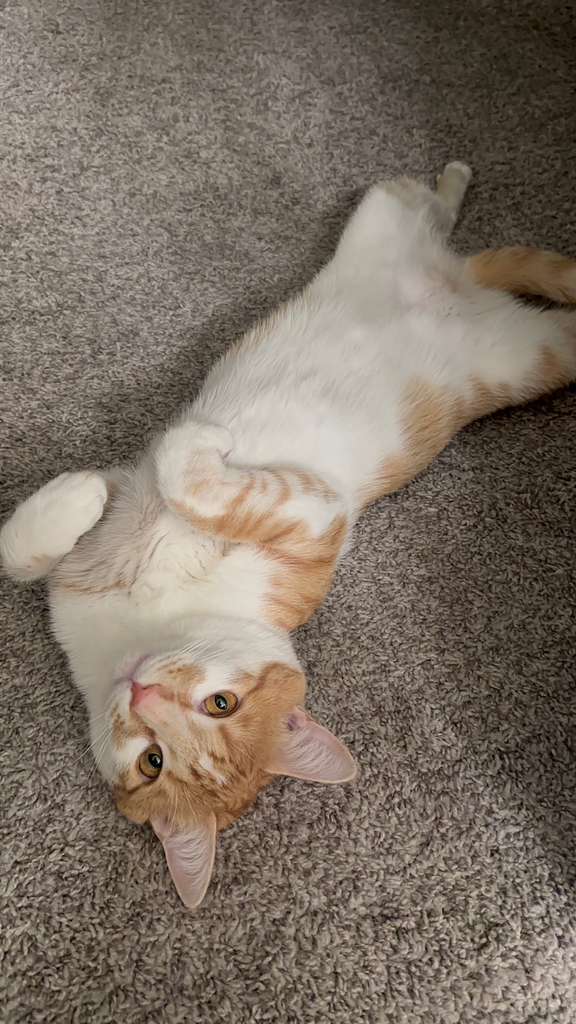 Thomas