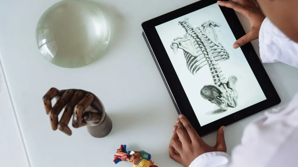 Professional using a tablet to study anatomy, hinting at the future of chiropractic care