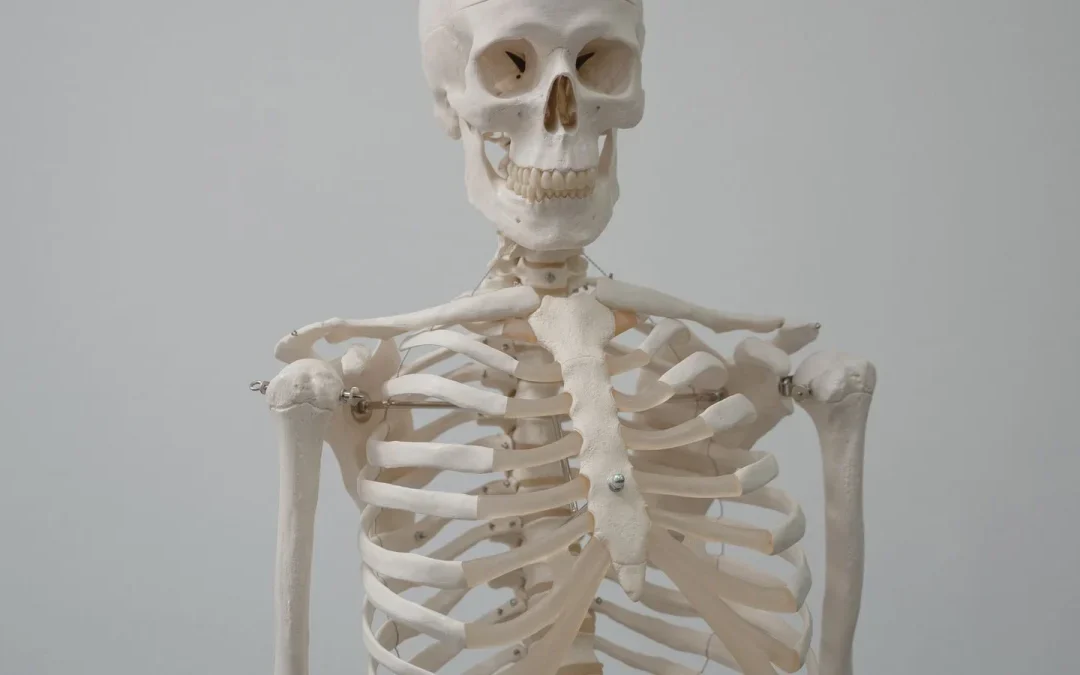 What Is a Herniated Disc?