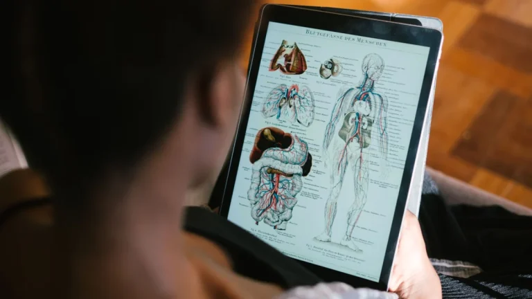 How Do You Become a Chiropractor?