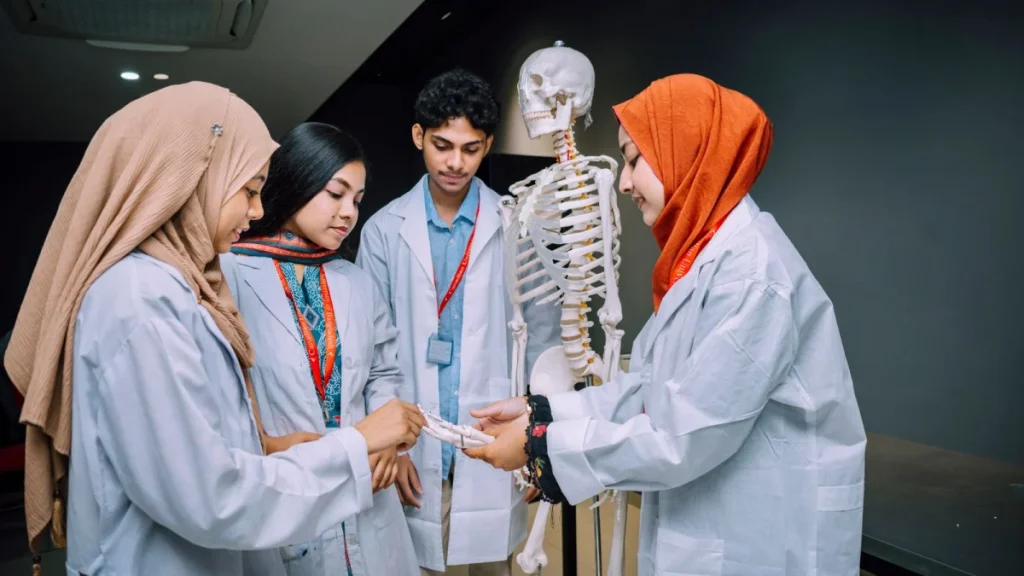 Students studying anatomy with a skeleton, an early step to becoming a chiropractor